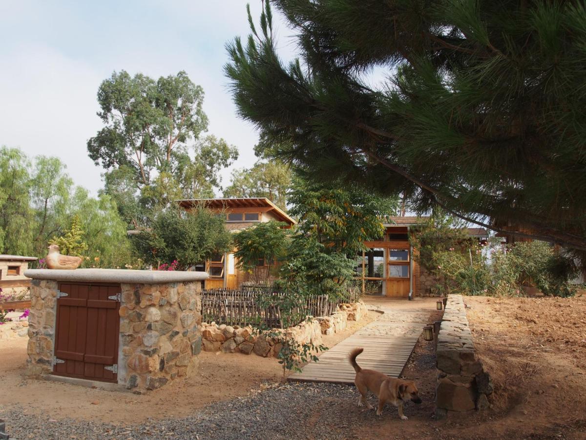 Casa Mayoral B&B Pet Friendly Вале де Гуадалупе Екстериор снимка